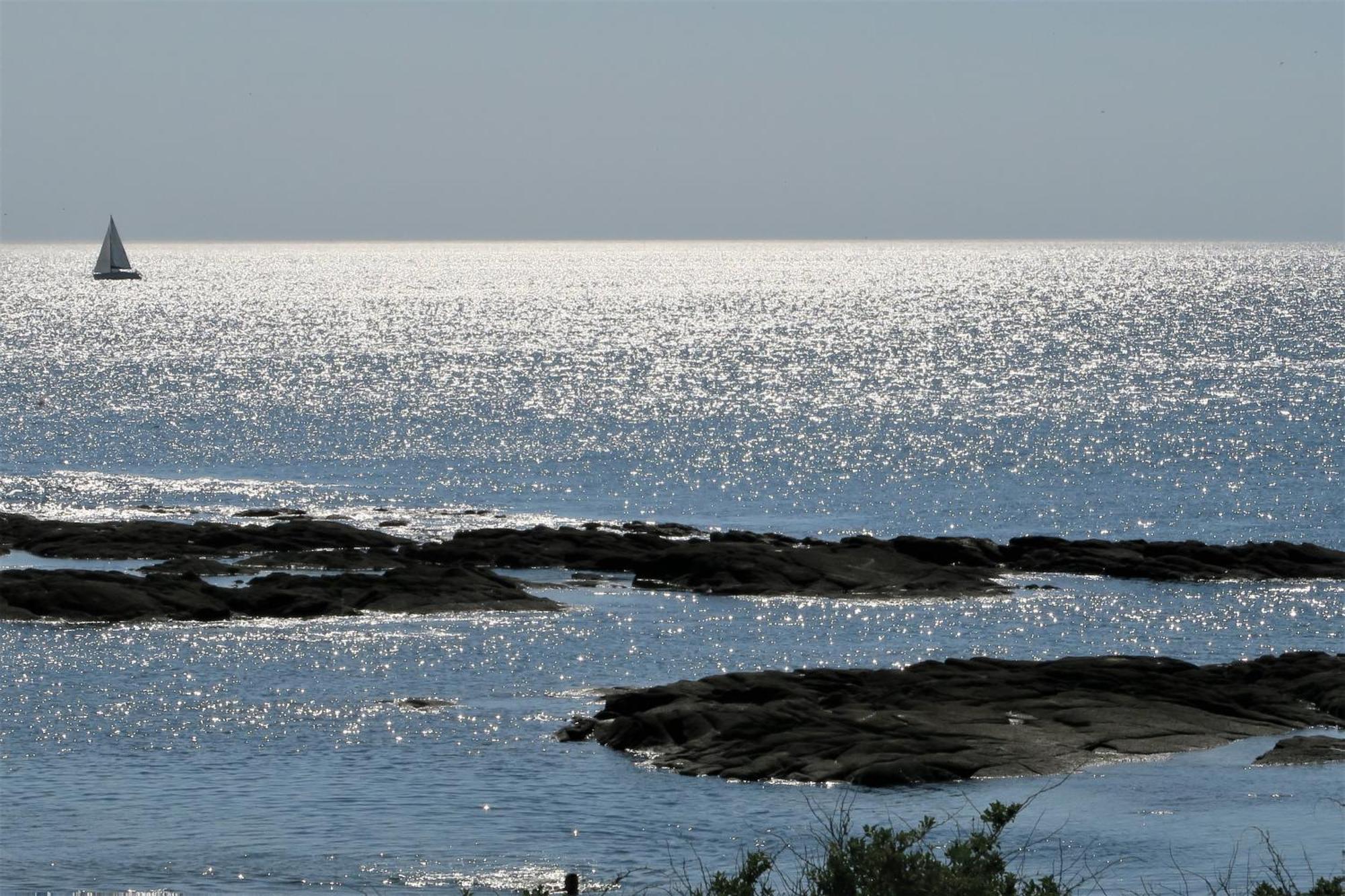 Vitamin Sea La Turballe Kültér fotó